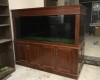 Hồ cá rồng 1m8 lắp đặt tại nhà diễn viên Thanh Bình Ngọc Lan 