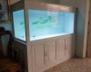 Hồ cá rồng 1m76 lắp đặt tại nhà anh Hiển Hố Nai - Biên Hoà  