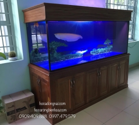 Hồ cá rồng 2 lắp đặt tại nhà anh Hùng Tân Phong - Biên Hoà 